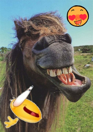 Surprise Image 2